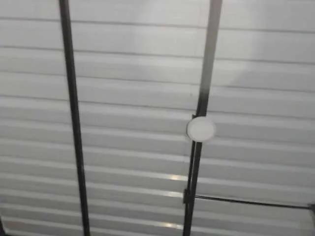 candylovet on BongaCams