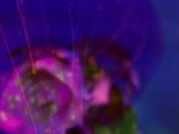 heybanan on Chaturbate