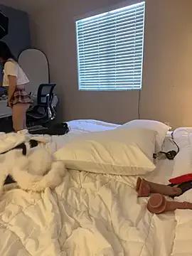 ha888we on StripChat 