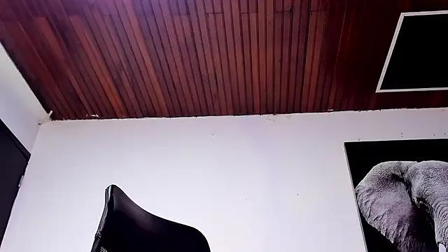 king_falconer — Surprise show!